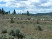 DSCF0021