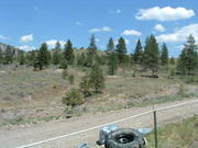 DSCF0026