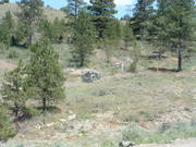 DSCF0031
