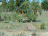 DSCF0045