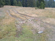 Dscf0085