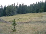 Dscf0088