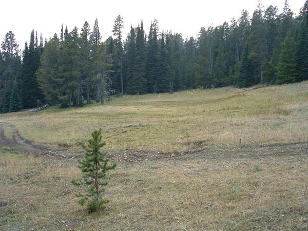 Dscf0088