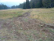 Dscf0090