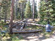 Dscf0008