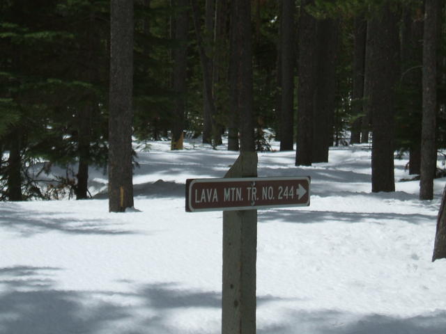 2008_1015parklake20090006