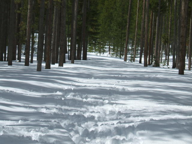 2008_1015parklake20090007