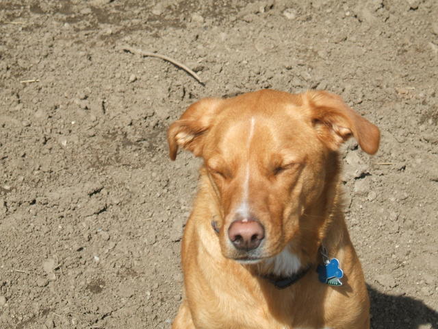 2008_1015parklake20090014