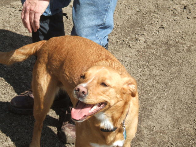 2008_1015parklake20090016