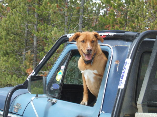 2008_1015parklake20090029