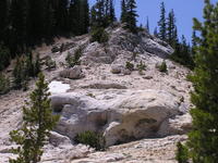 P7150033