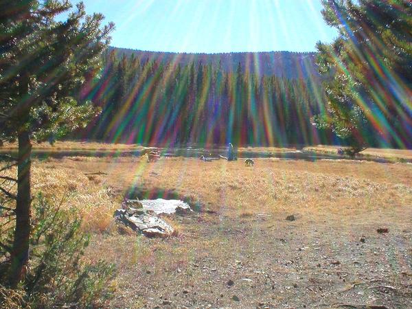 PA250023 - The sun glistens on Tizer Lake. 