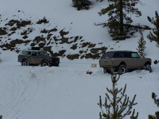 100_0736.JPG