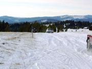 trail5 - Where's Doug think he's going? That ditch is pretty deep!
