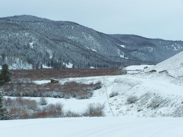 Looking north on the Boulder River road