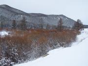 Great fishing in the summer, just watch for moose