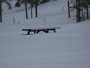 Must be a short picnic table...