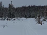 not many been up here