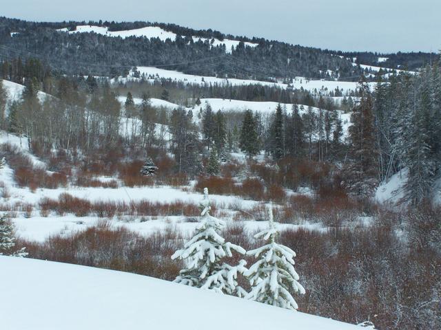 100_0846.JPG