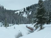 This is on Lower Creek Road heading toward Sheepshead