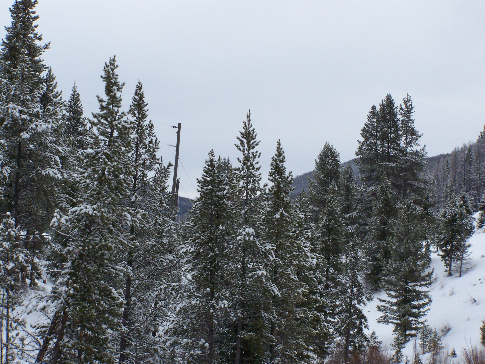 100_0851.JPG