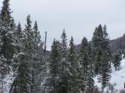 100_0851.JPG