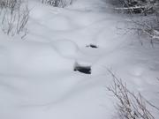 BoulderRiverRd (16)