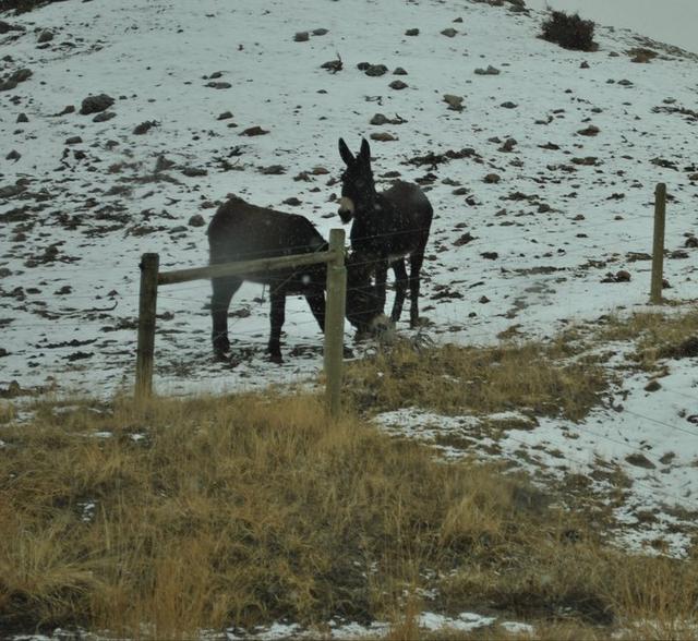 Nice to know our legislators get out from time to time.