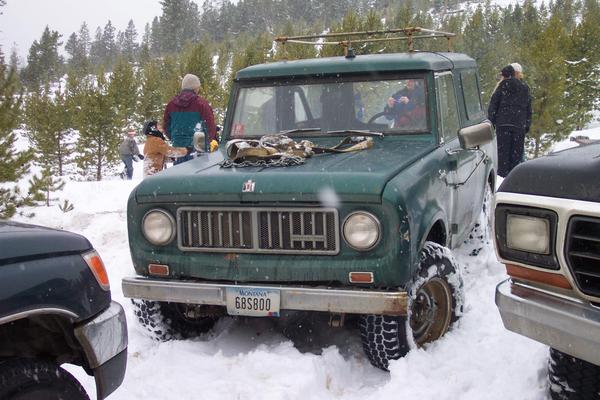 Michelle's Scout on it's first tree-run