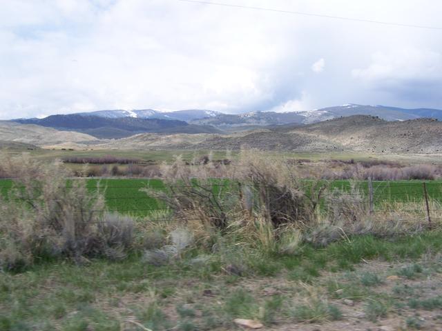 100_1065.JPG