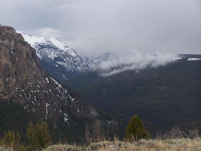 100_1135.JPG