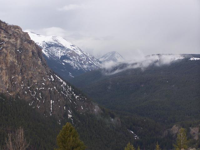 100_1137.JPG