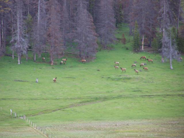 100_1266.JPG