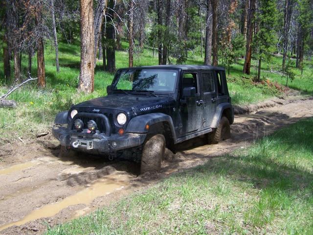 Stuck in the mud