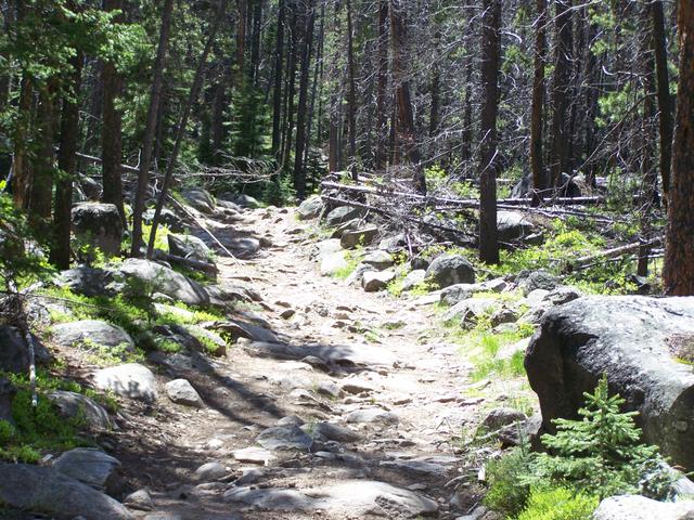 100_1298.JPG