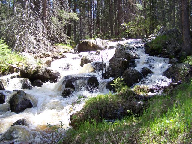 100_1306.JPG