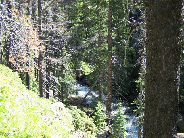 100_1327.JPG