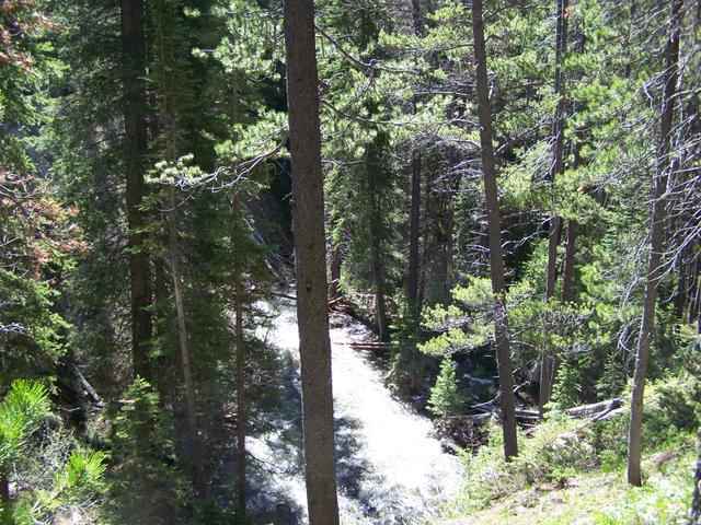 100_1329.JPG