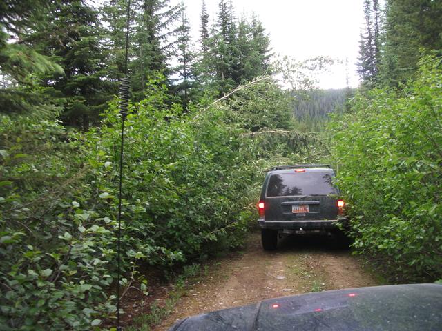 2011 Divide Ride StarvationMeadow (10).JPG