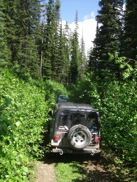 2011 Divide Ride StarvationMeadow (14).JPG