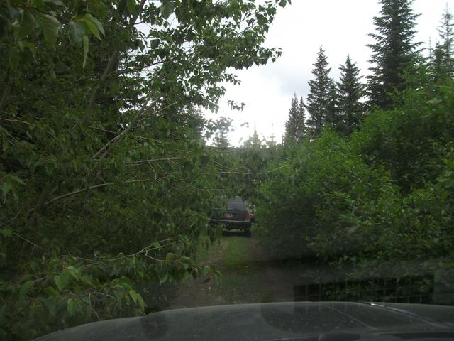 2011 Divide Ride StarvationMeadow (4).JPG