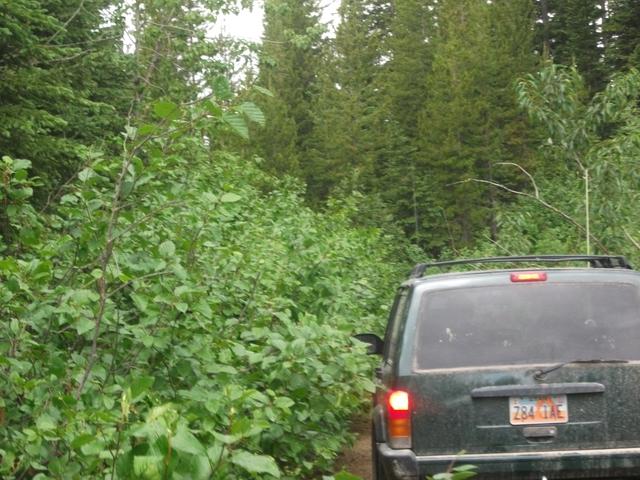 2011 Divide Ride StarvationMeadow (6).JPG