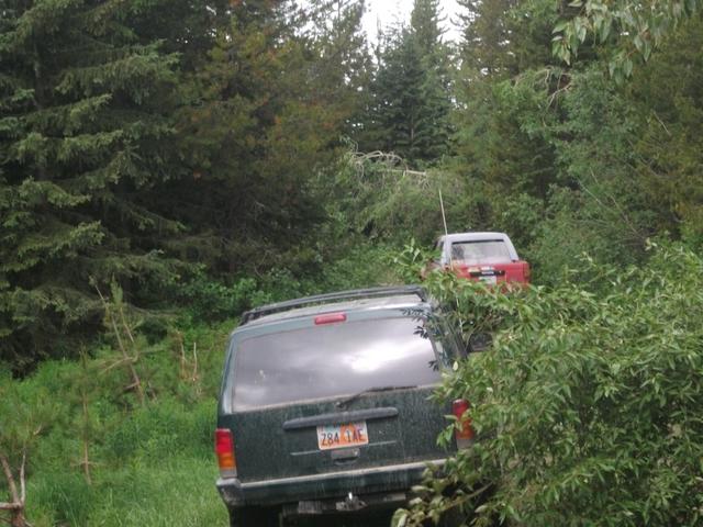 2011 Divide Ride StarvationMeadow (8).JPG