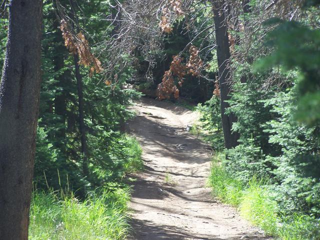 100_1640.JPG
