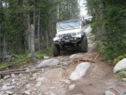 White jeeps were everywhere