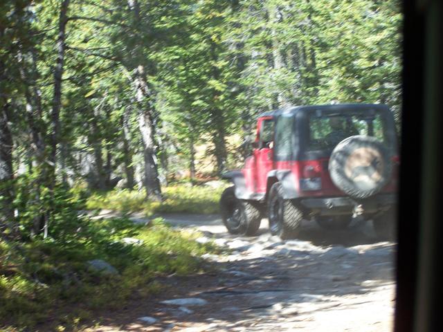 100_1905.JPG