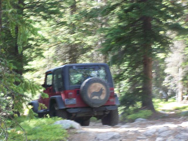 100_1911.JPG