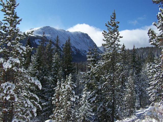 100_2185.JPG