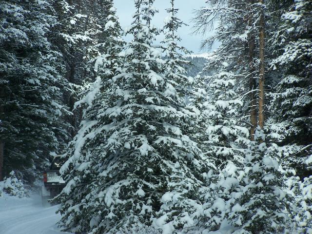 100_2214.JPG