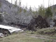 DSCF0252.jpg